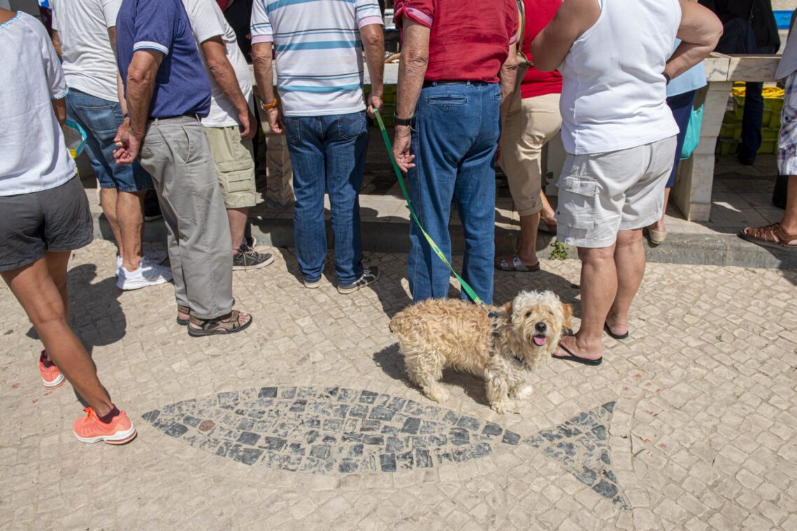 Arte xávega na Praia da Vieira