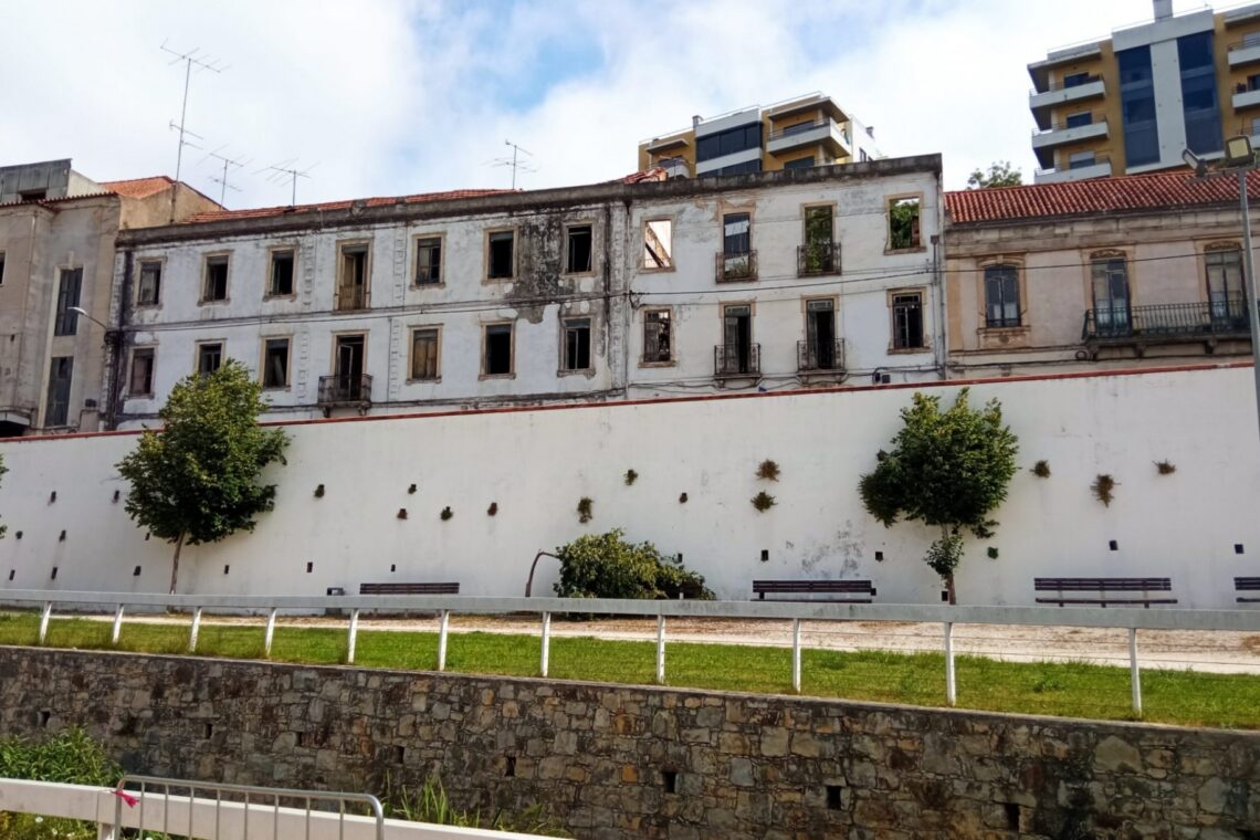 Além dos candeeiros danificados, também árvores já com algum porte, começaram a ser partidas ao meio