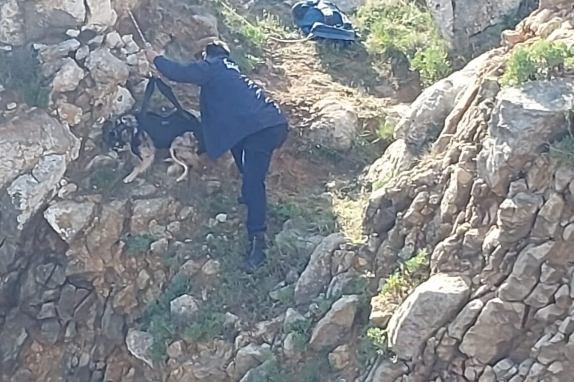 Depois de retirado da gruta, cão foi içado