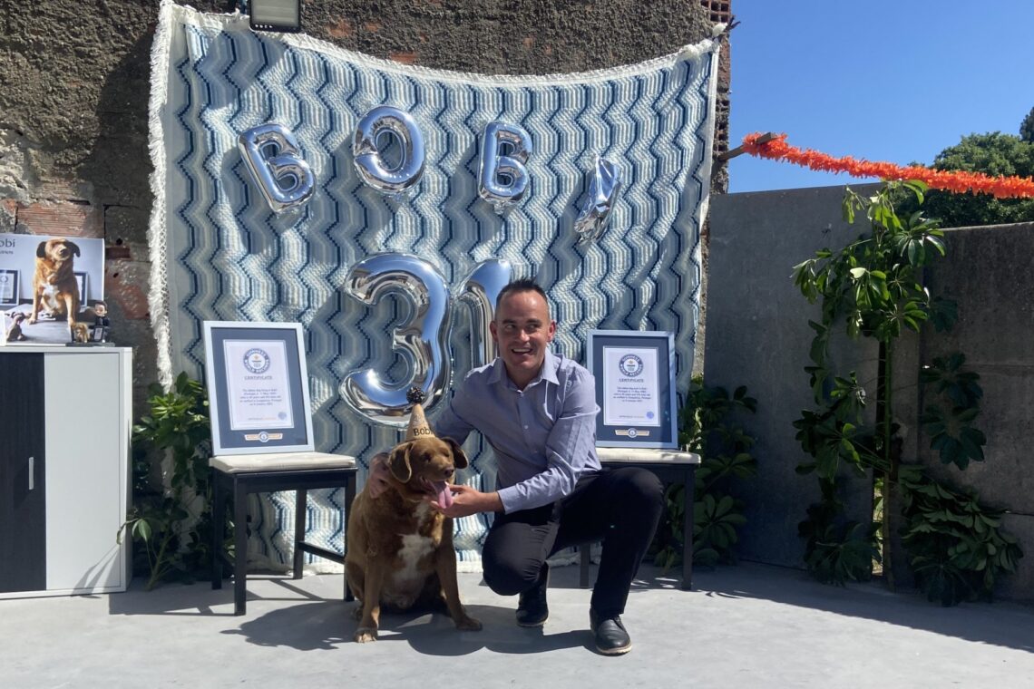 Bobi, o cão mais velho do mundo morreu aos 31 anos