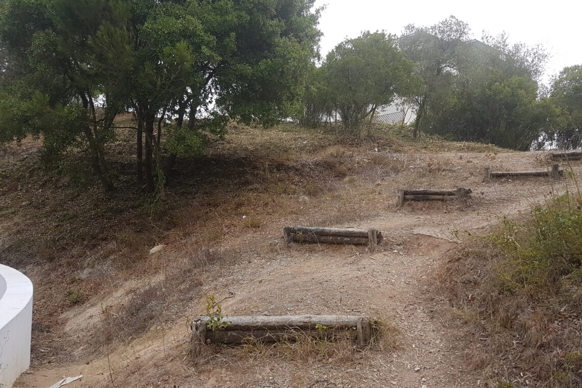 Câmara de Leiria rejeita acusações de abate de espécies protegidas