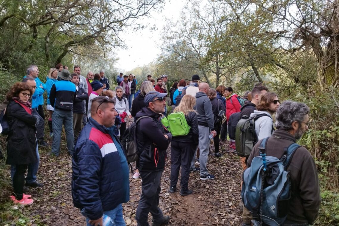 Caminhada convidou participantes a descobrir a floresta