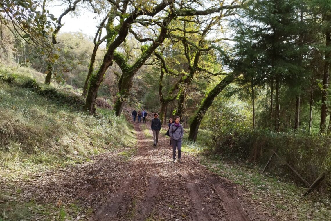Caminhada convidou participantes a descobrir a floresta
