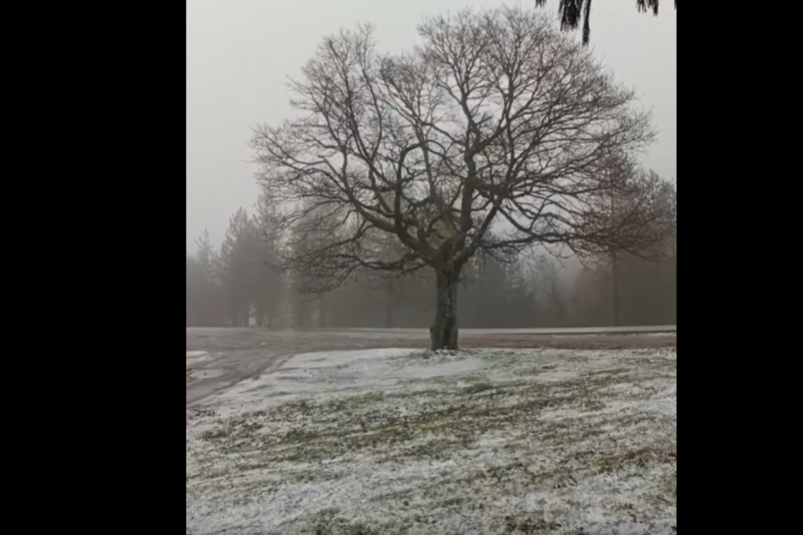 Queda de neve em Castanheira de Pera