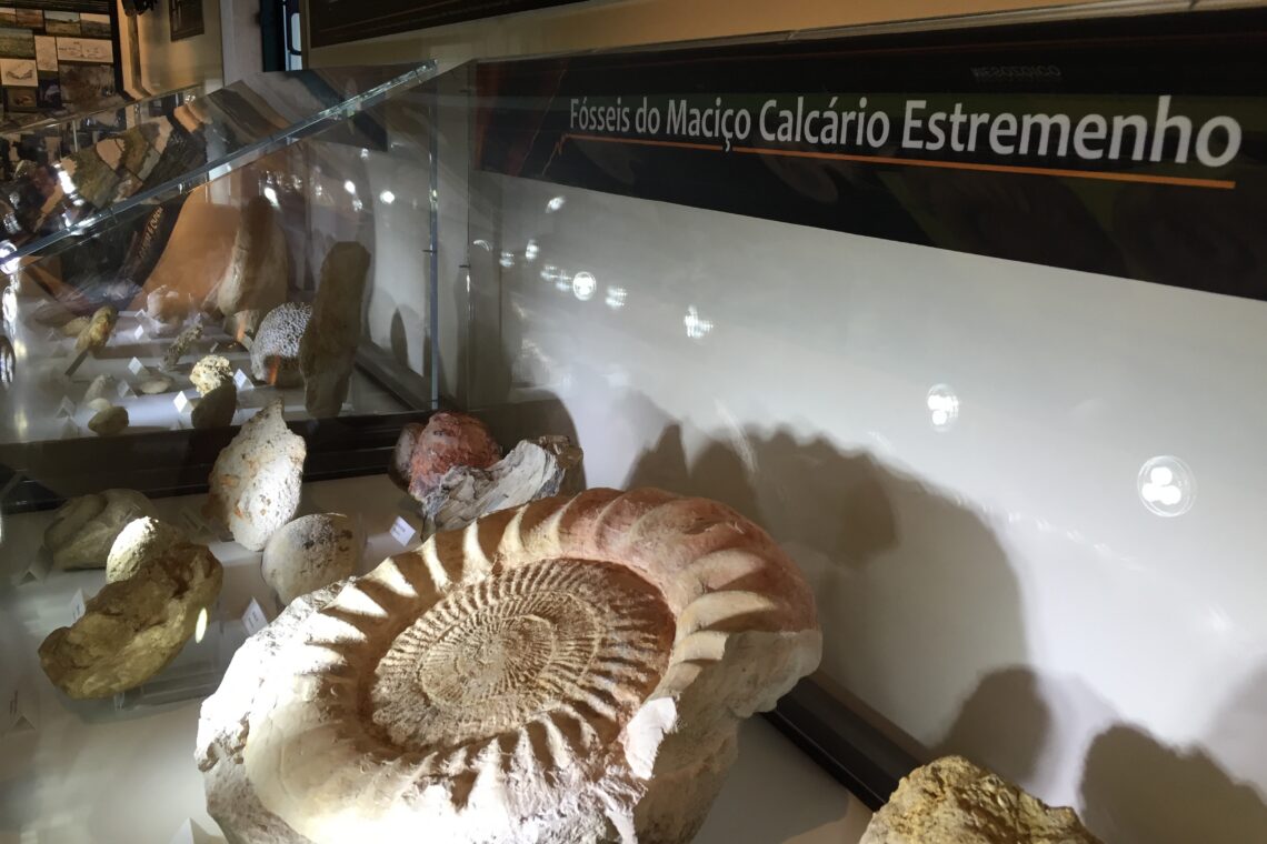 Centro de interpretação e percurso de orientação das Grutas da Moeda