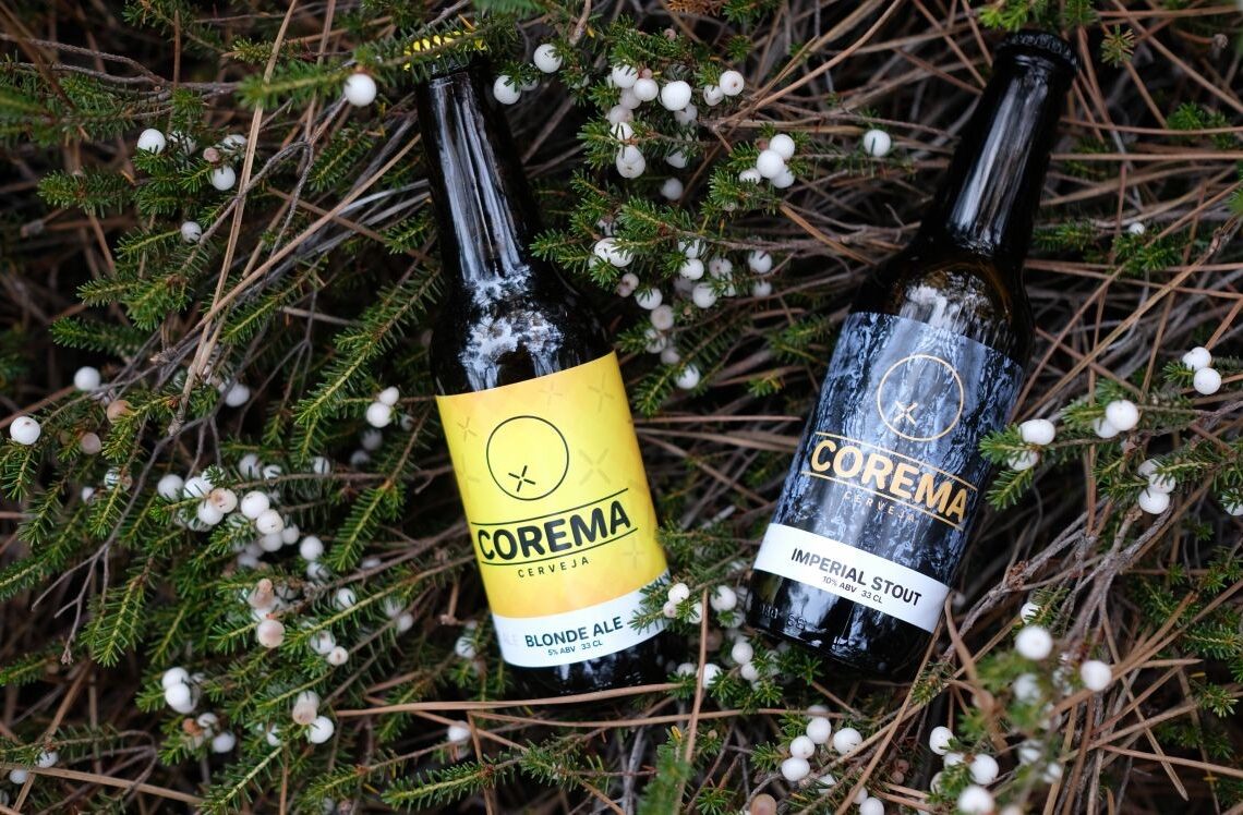Cerveja artesanal: quando a  paixão se transforma num negócio