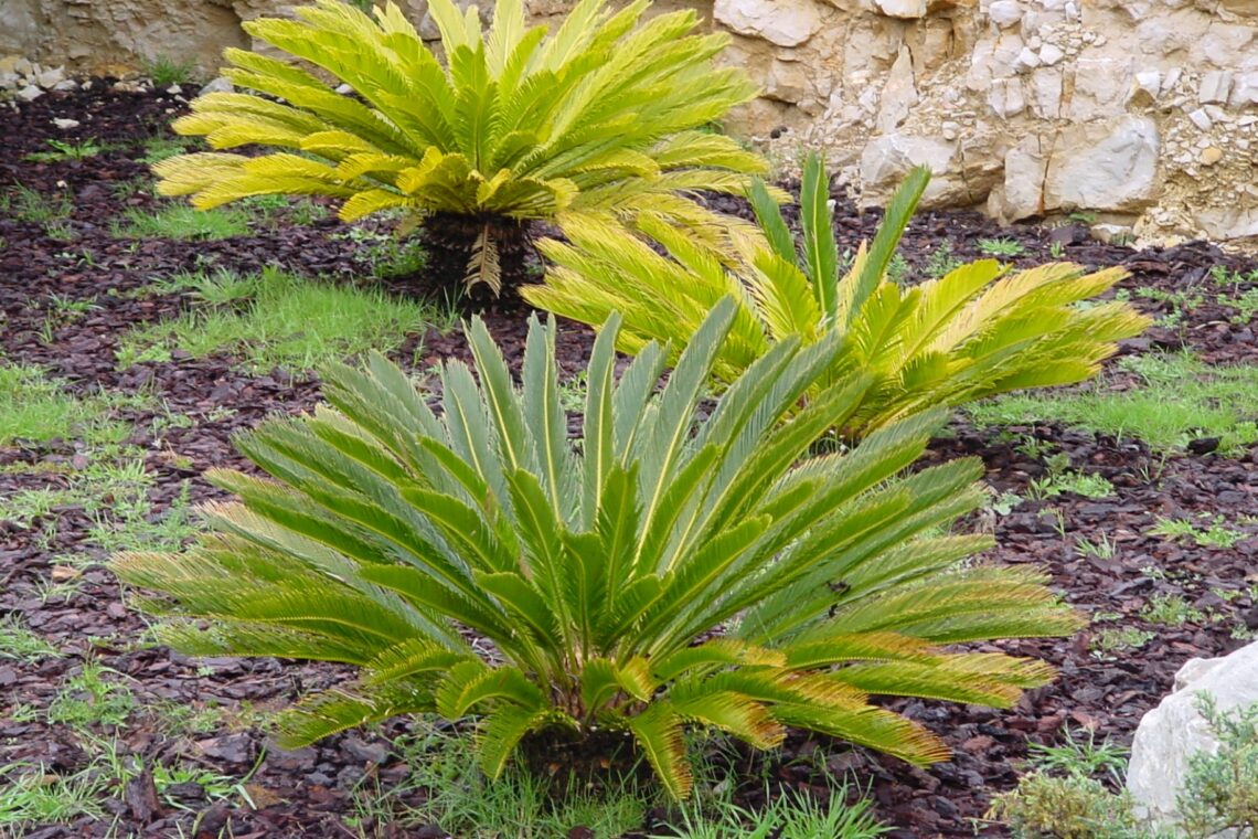 Monumento Natural das Pegadas de Dinossáurios da Serras de Aire