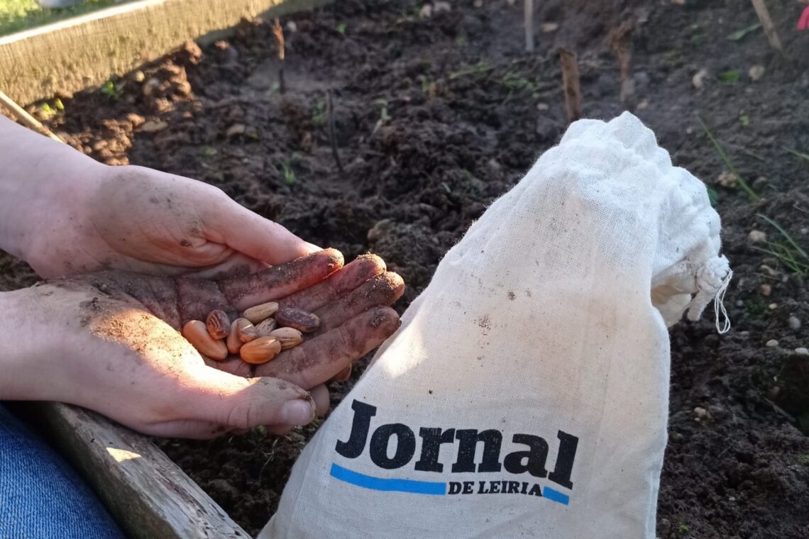 Várias eco-escolas do concelho de Leiria aceitaram o desafio do Jornal de Leiria