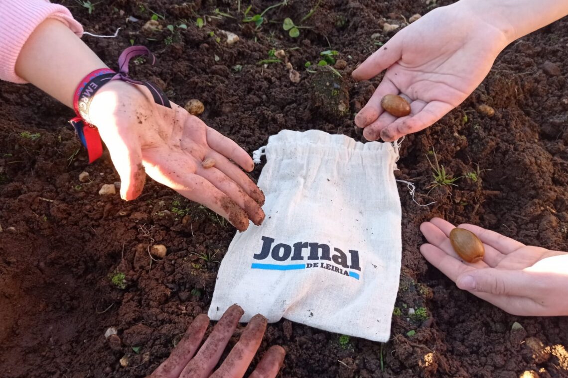 Várias eco-escolas do concelho de Leiria aceitaram o desafio do Jornal de Leiria