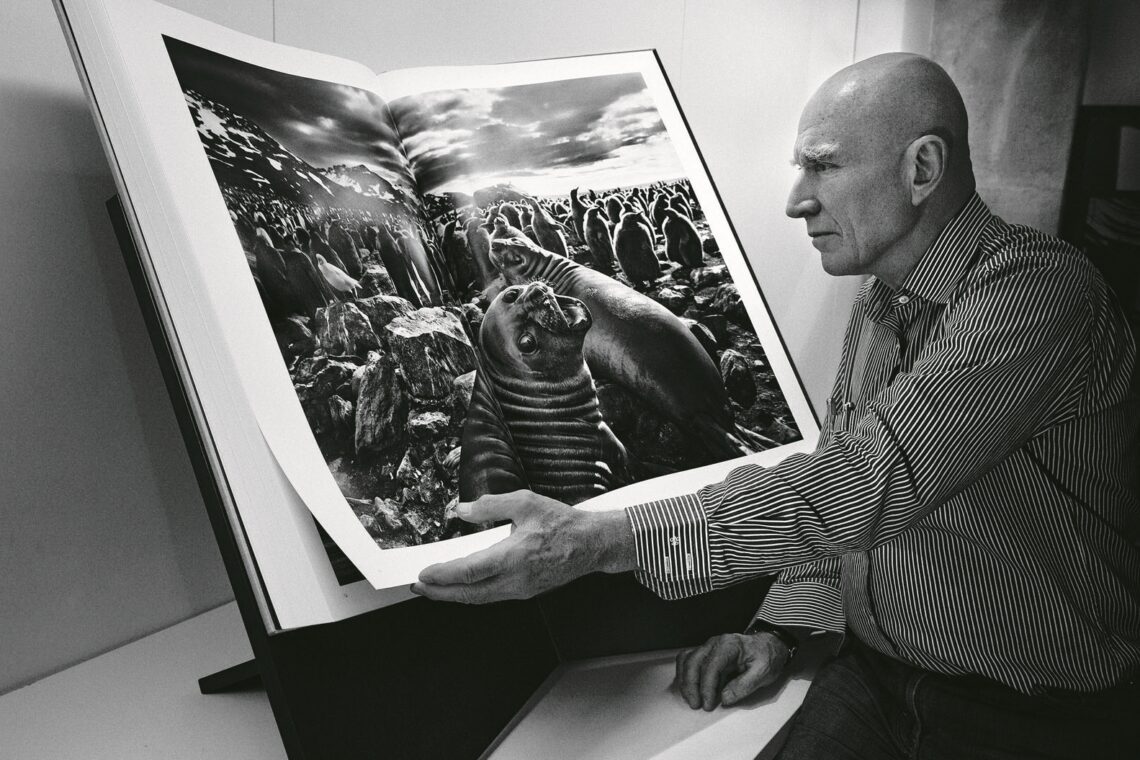 O prémio é um exemplar do livro Génesis, do conceituado fotógrafo brasileiro Sebastião Salgado (Fotografia: DR)