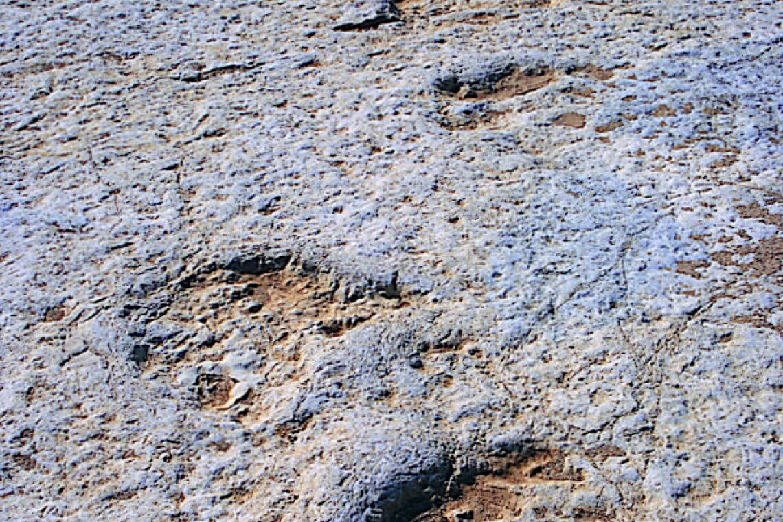 Monumento Natural das Pegadas de Dinossáurios da Serras de Aire