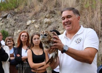 Coruja resgatada pelo Movimento Cívico  Barosa Viva devolvida à natureza