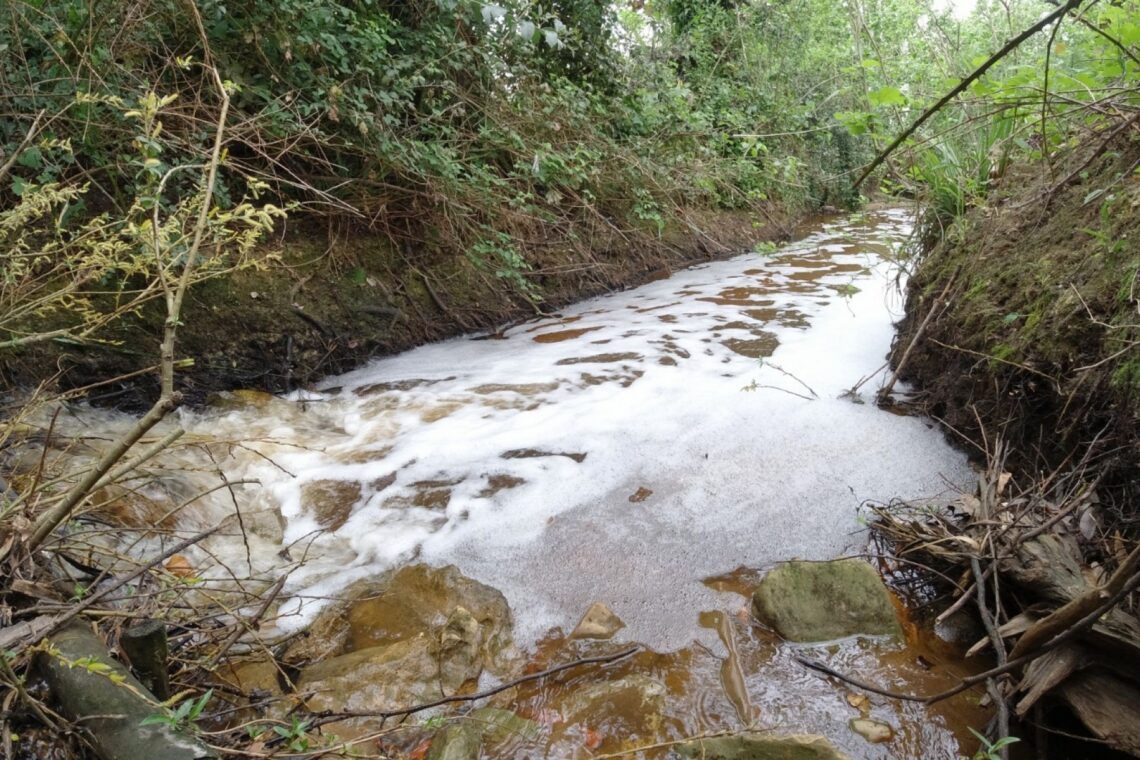 Descarga proveniente de conduta de saneamento poluiu ribeira do Picheleiro, na Barosa