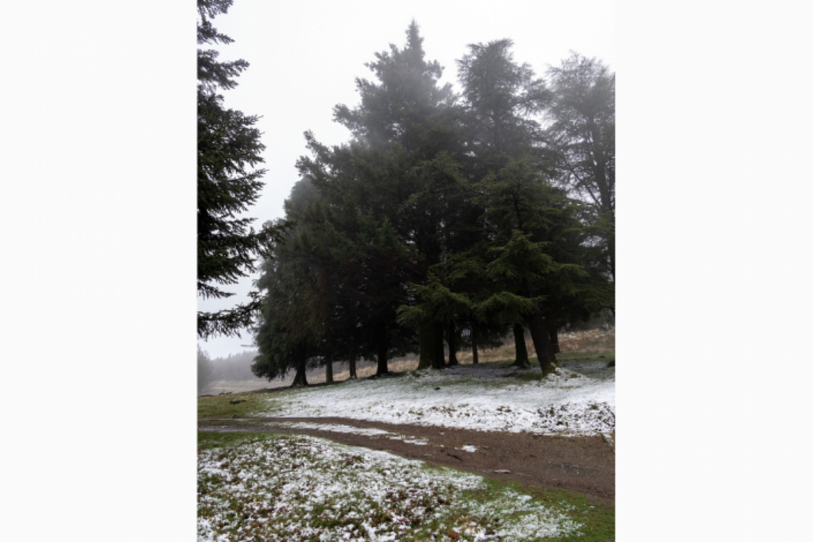 A chuva ditou o desaparecimento mais rápido da neve