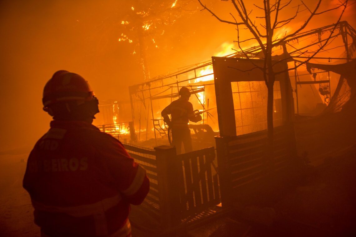 O incêndio no Pinhal de Leiria –  Fotogaleria