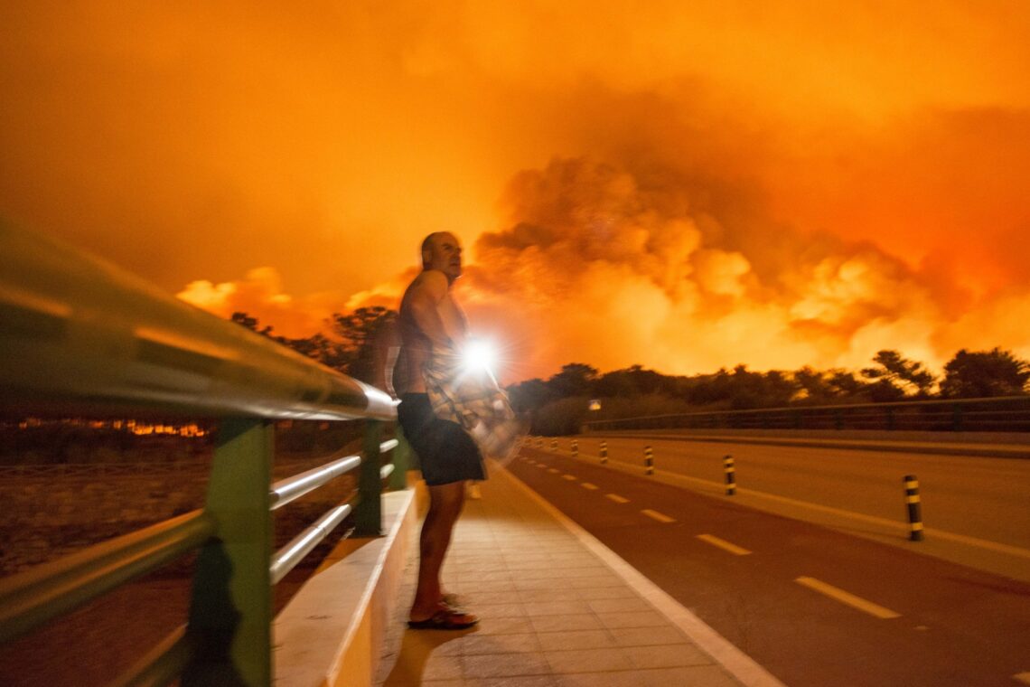 O incêndio no Pinhal de Leiria –  Fotogaleria