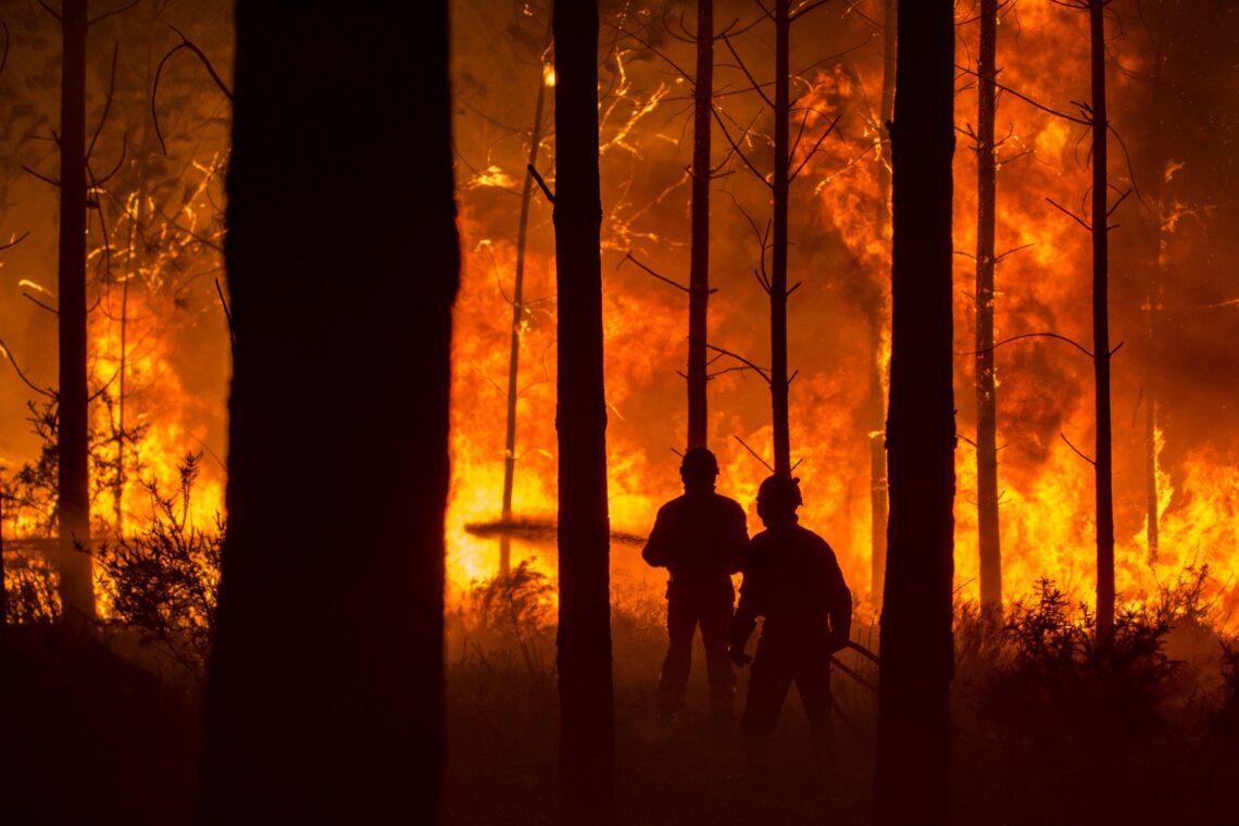 O incêndio no Pinhal de Leiria –  Fotogaleria