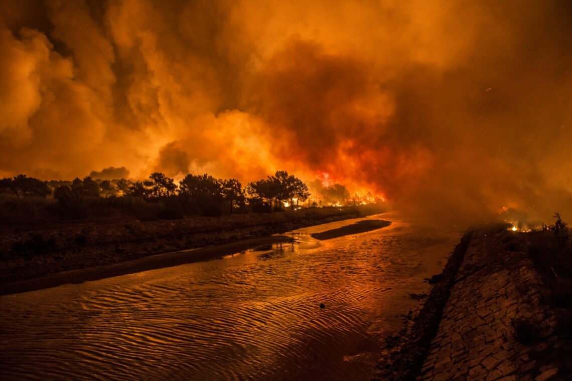 O incêndio no Pinhal de Leiria –  Fotogaleria