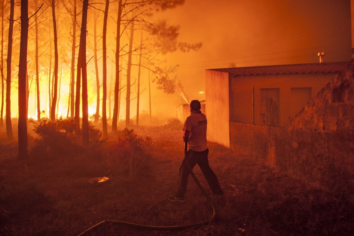 O incêndio no Pinhal de Leiria –  Fotogaleria