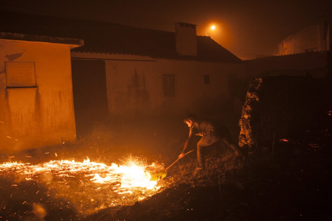 O incêndio no Pinhal de Leiria –  Fotogaleria