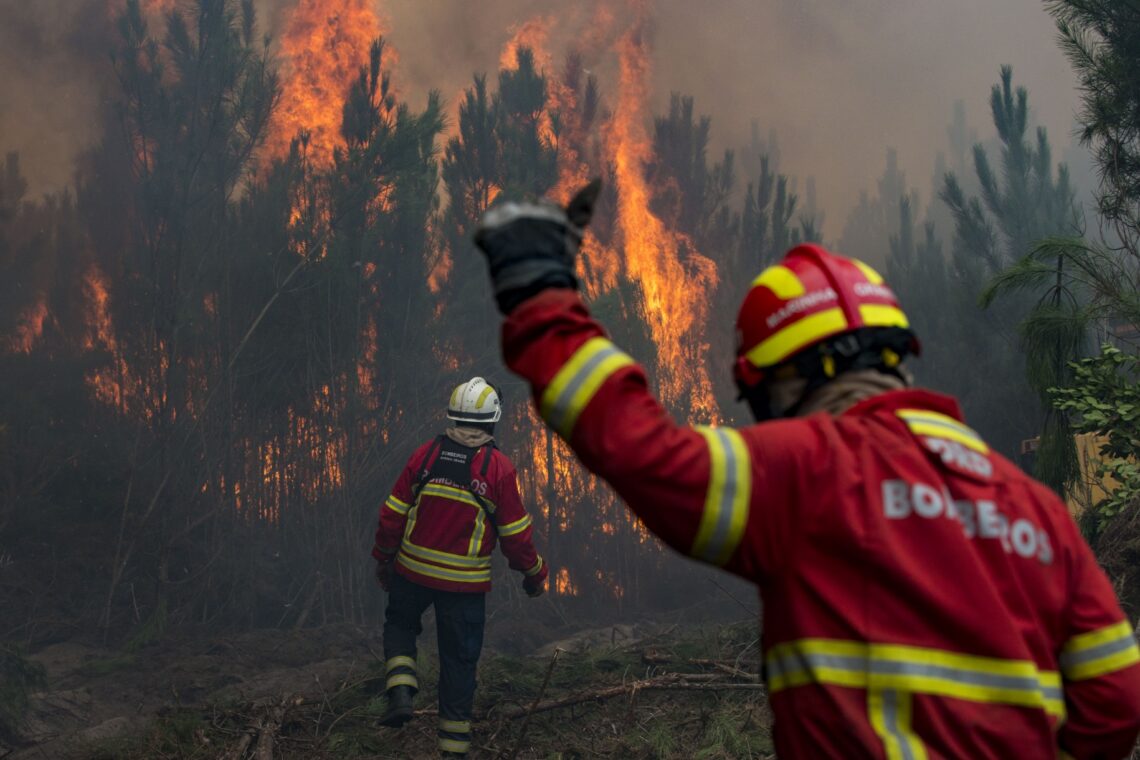 O incêndio no Pinhal de Leiria –  Fotogaleria