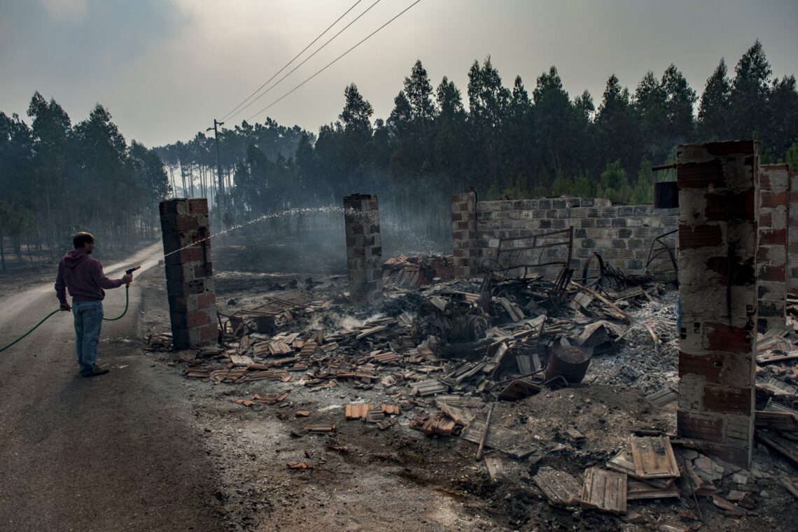 O incêndio no Pinhal de Leiria –  Fotogaleria