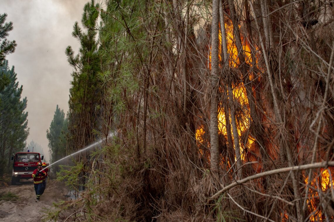 O incêndio no Pinhal de Leiria –  Fotogaleria