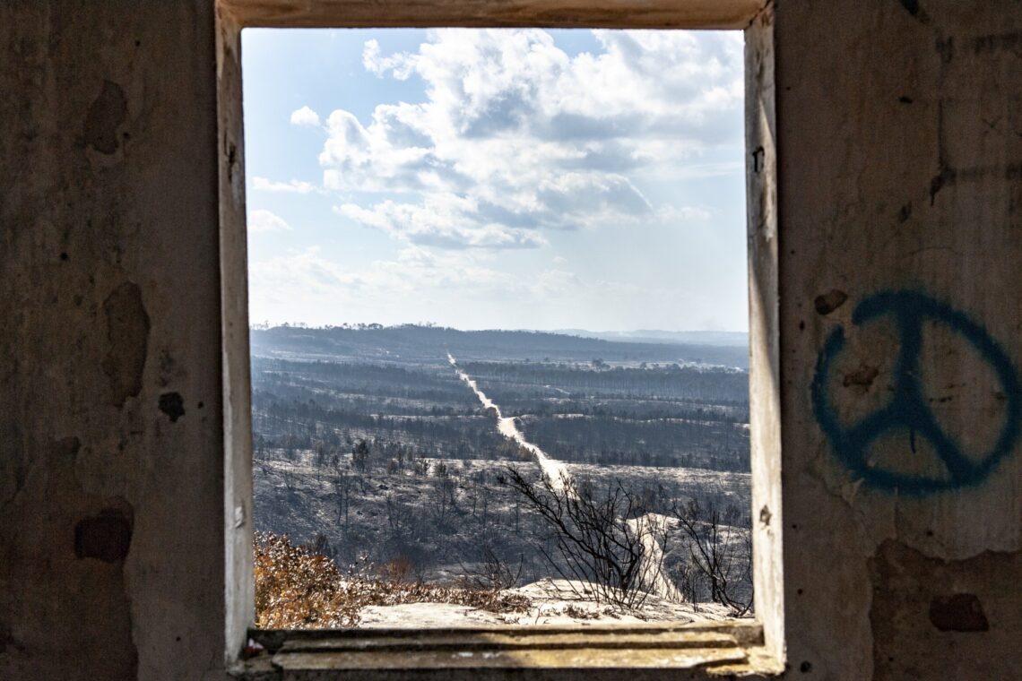 O incêndio no Pinhal de Leiria –  Fotogaleria