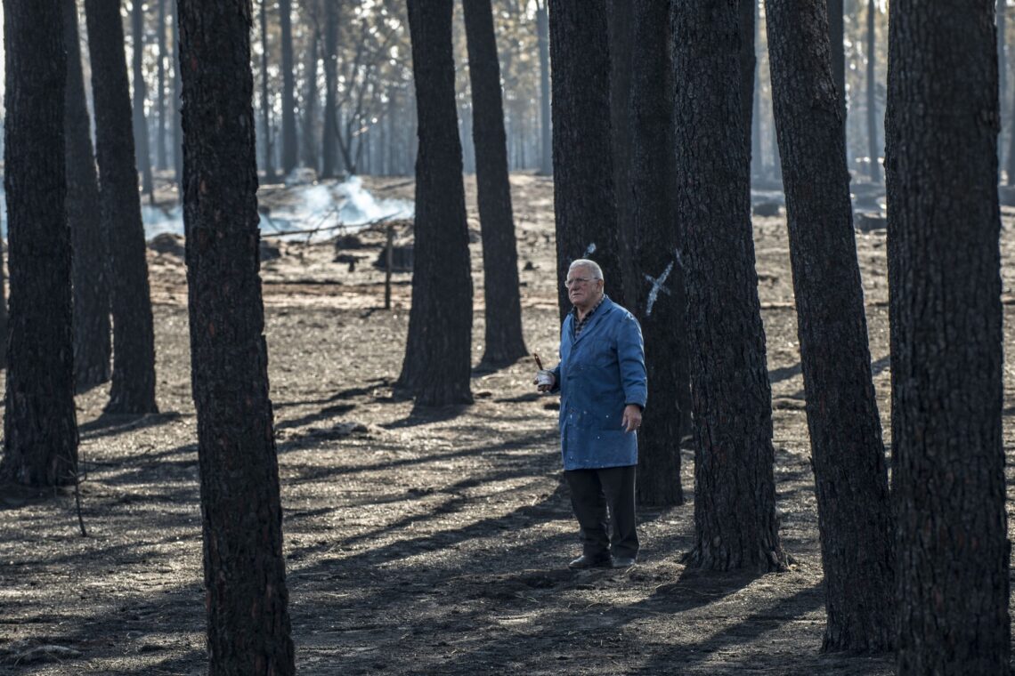 O incêndio no Pinhal de Leiria –  Fotogaleria