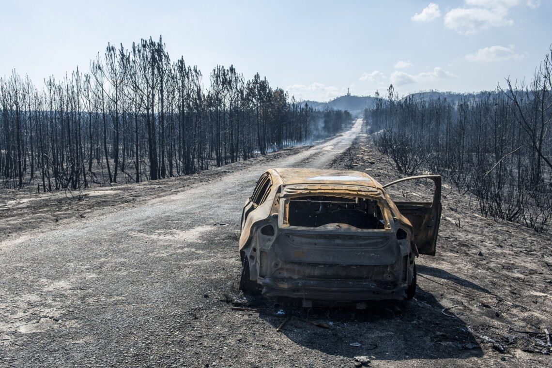 O incêndio no Pinhal de Leiria –  Fotogaleria