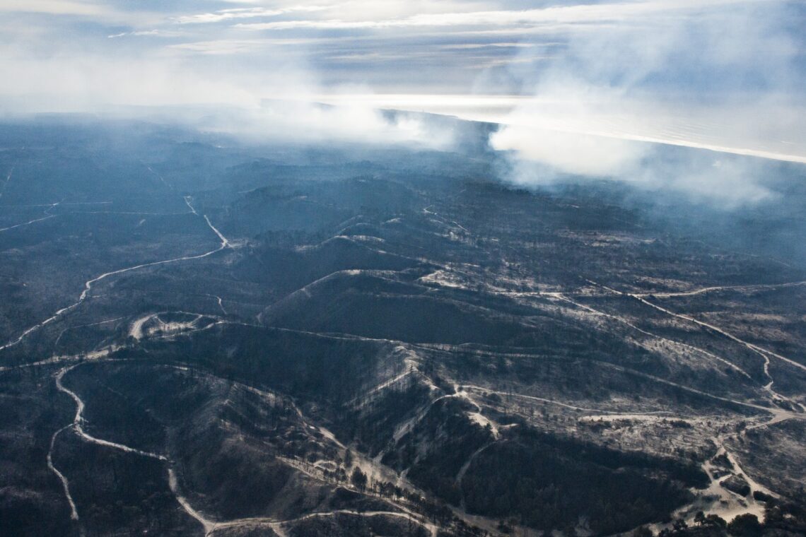 O incêndio no Pinhal de Leiria –  Fotogaleria