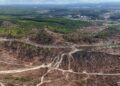 Projecto em marcha para recuperar Monte de São Bartolomeu e Mata do Valado, na Nazaré