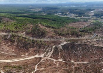 Projecto em marcha para recuperar Monte de São Bartolomeu e Mata do Valado, na Nazaré