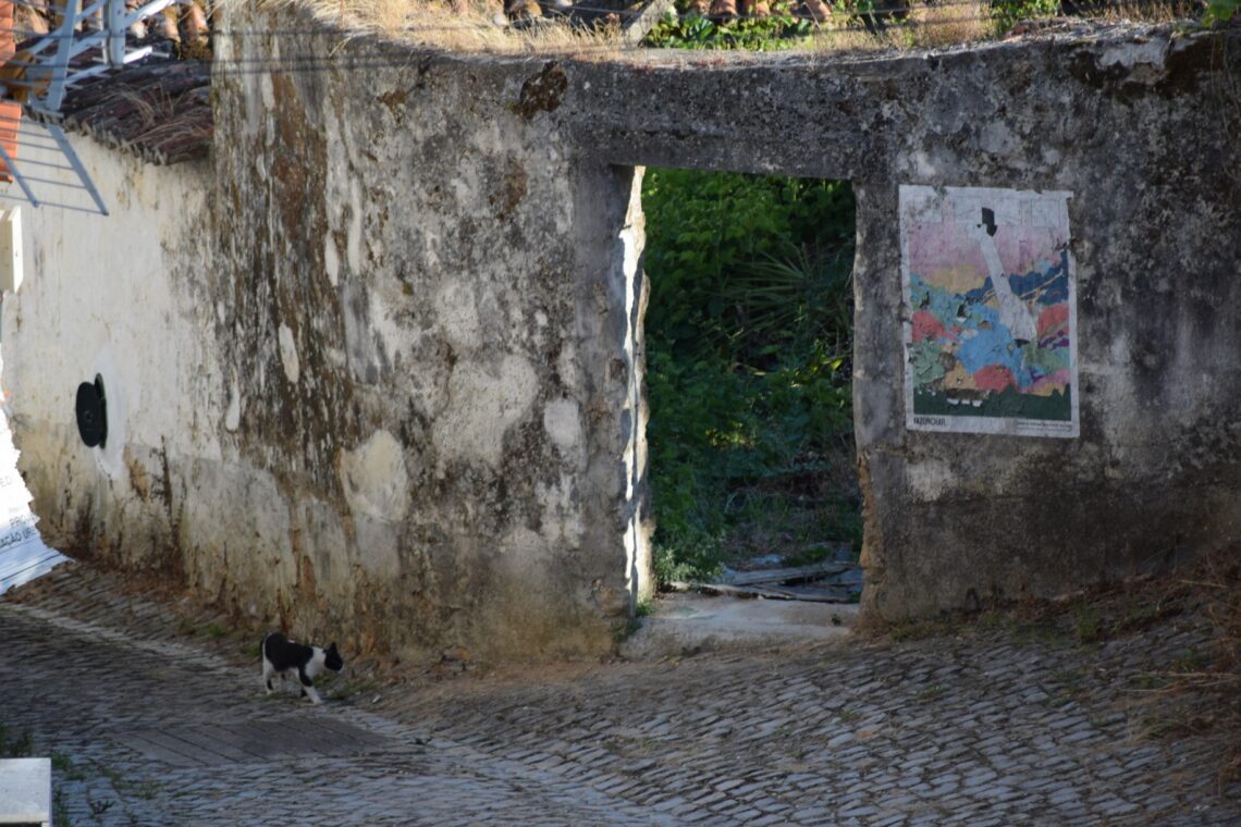 Roteiro pelo Fazunchar - Festival de Arte Urbana 2021