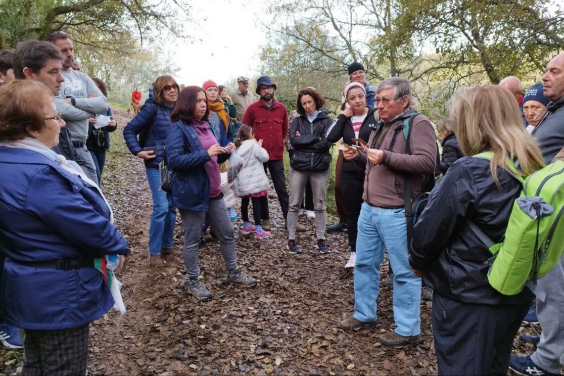Ansião acolhe evento de valorização da floresta autóctone