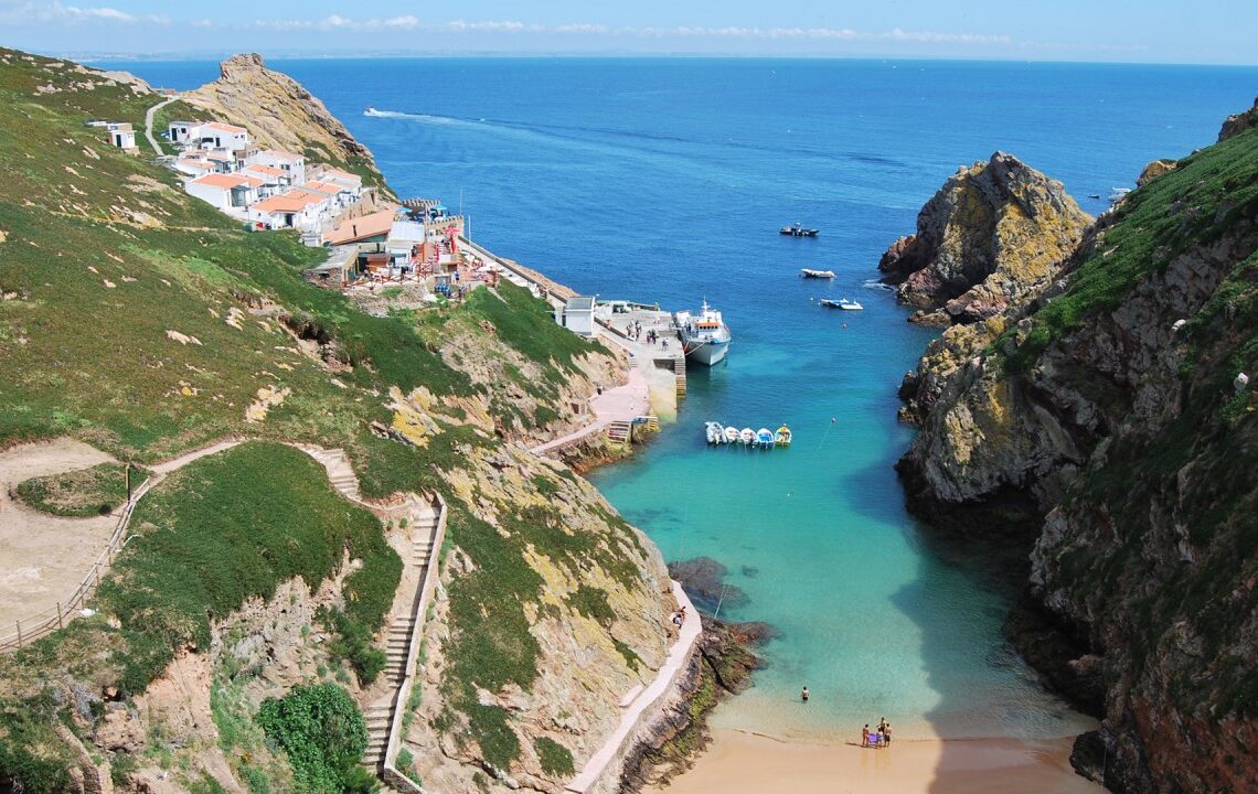 Equipa de investigadores está a remover ratos e chorão das Berlengas