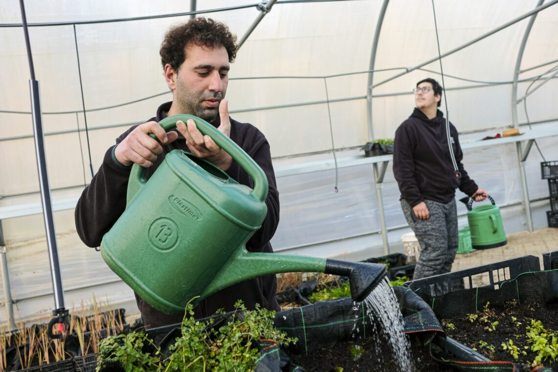 Em Castanheira de Pera, a inclusão cultiva-se com ervas aromáticas