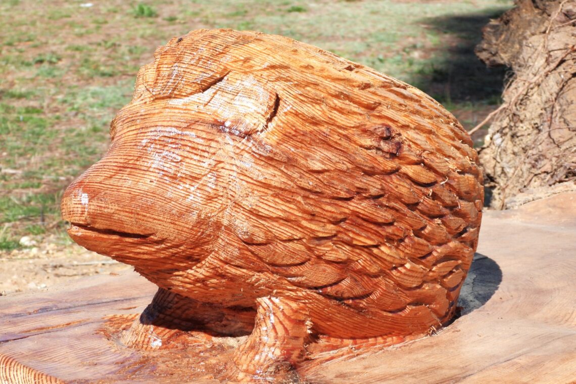Escultor Zé Justino autor de parte das obras de arte no Parque Verde do Açude