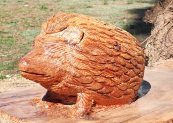 Escultor Zé Justino autor de parte das obras de arte no Parque Verde do Açude