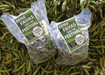 Organização reservou quase uma tonelada de favas para o festival