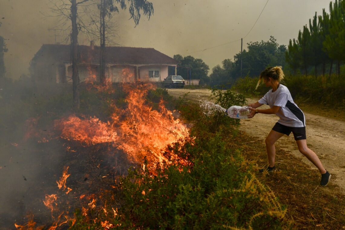 Incêndio atingiu Boa Vista e obrigou ao corte do IC2 e da A1