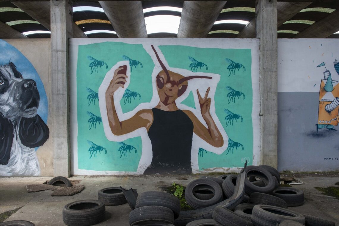 Fotografia de Ricardo Graça