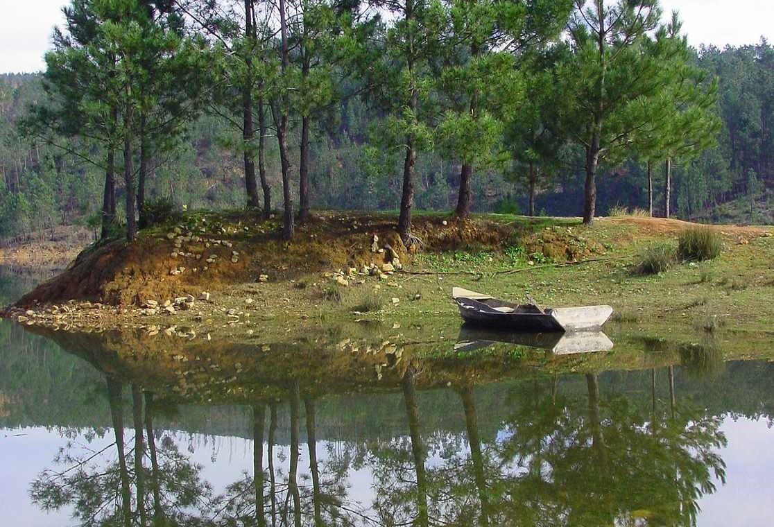 Ilha - Pedrógão Grande