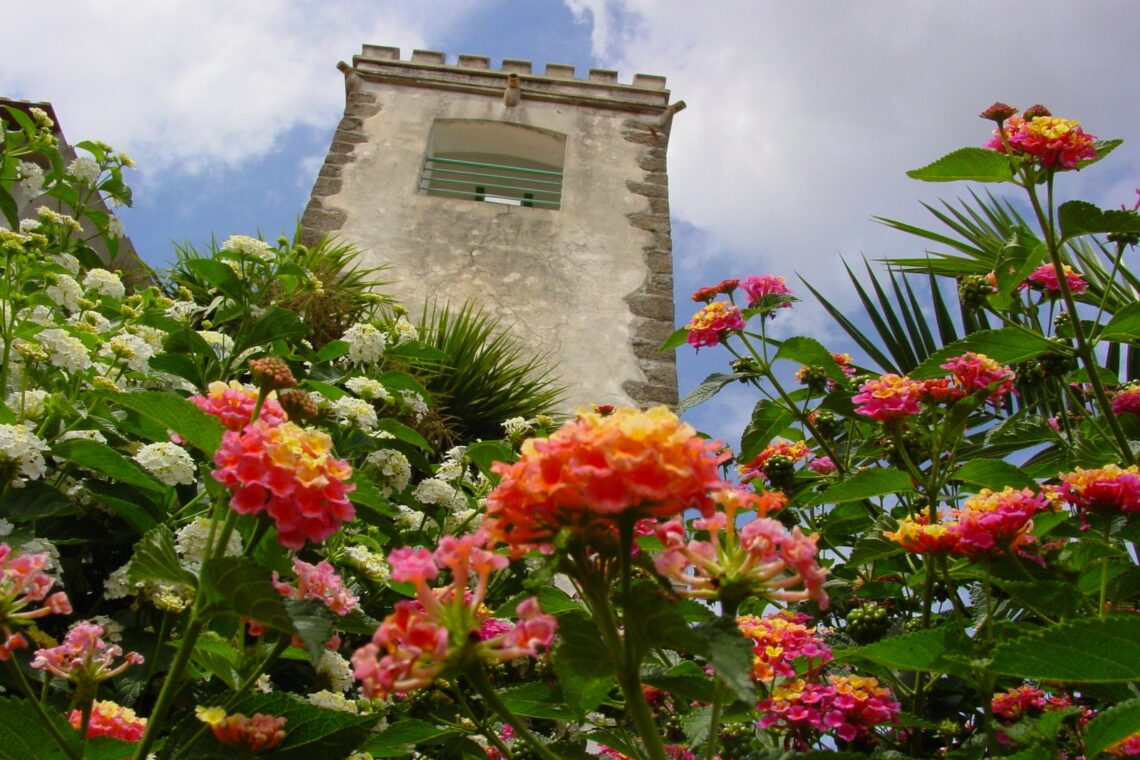 Torre Comarcã de Figueiró dos Vinhos
