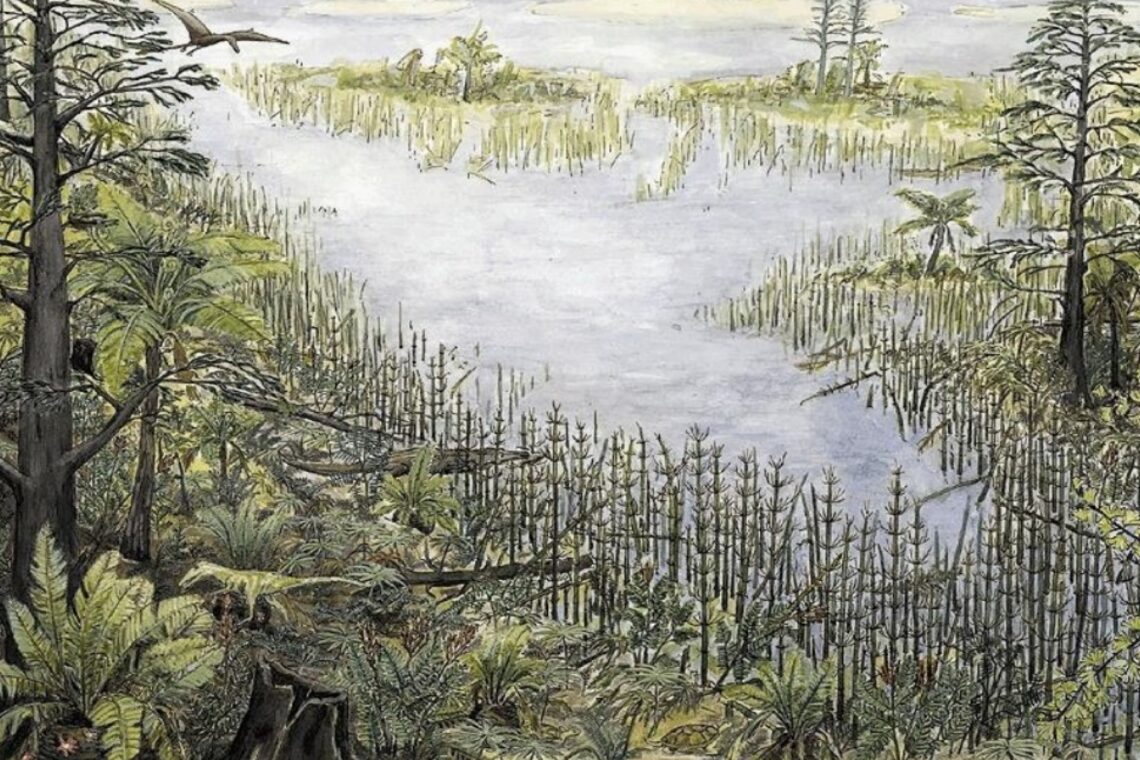 Do livro "Guimarota: A Jurassic Ecosystem", de Thomas Martin e Bernard Krebs. Representação da região da Guimarota há 150 milhões de anos. Imagem cedida por Anabela Quintela Veiga