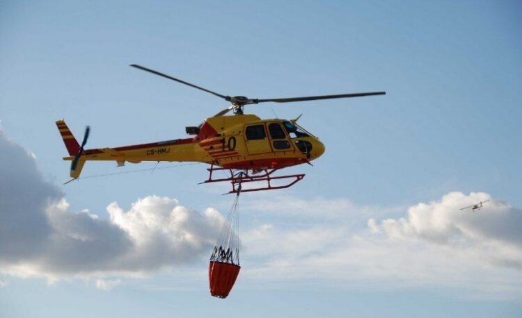 Ourém reclama mais meios para prevenção dos incêndios