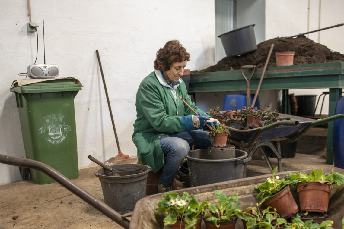Horto municipal, um guardião de biodiversidade às portas de Leiria