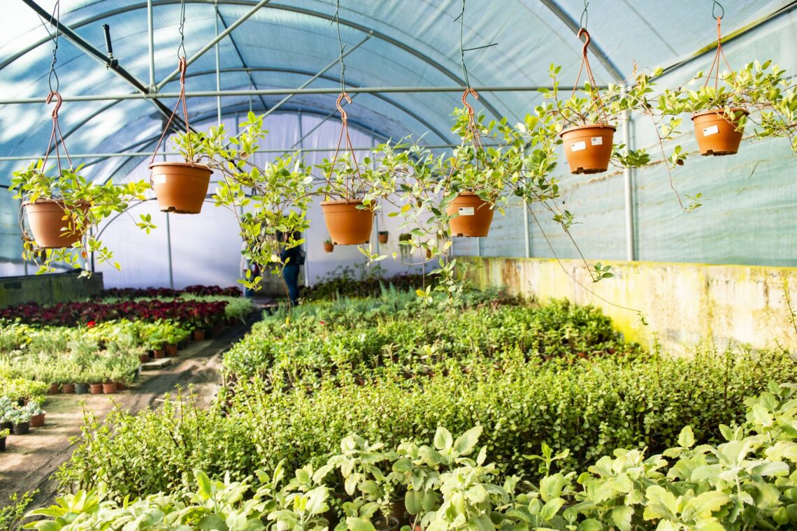 Horto municipal, um guardião de biodiversidade às portas de Leiria
