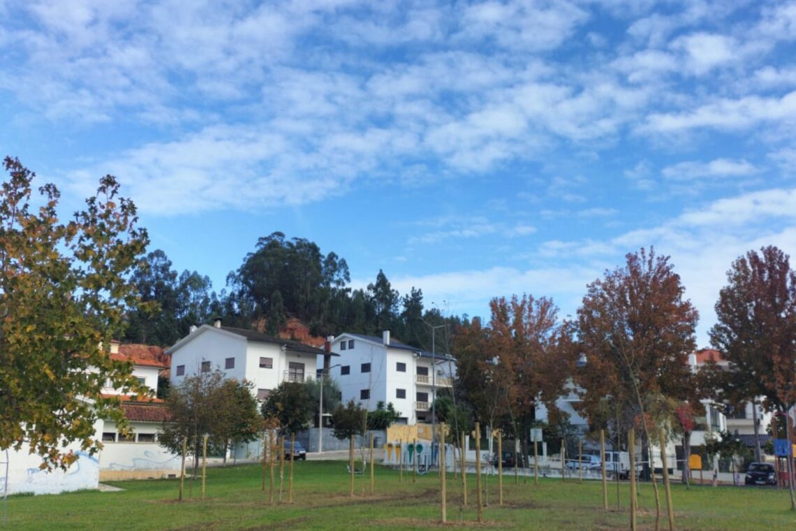 Quando crescidas, ilhas-sombra vão permitir usufruto do ar livre, mesmo nos dias quentes