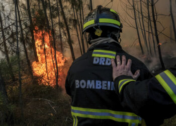 No terreno chegaram a estar quase 250 operacionais